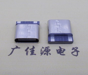 贵州短体焊线式type-c母座2p焊接 