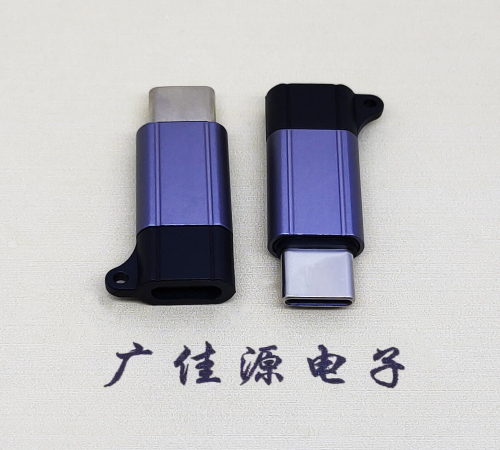 贵州Type-C母转Type-C公 USB3.1 PD100W快冲接口